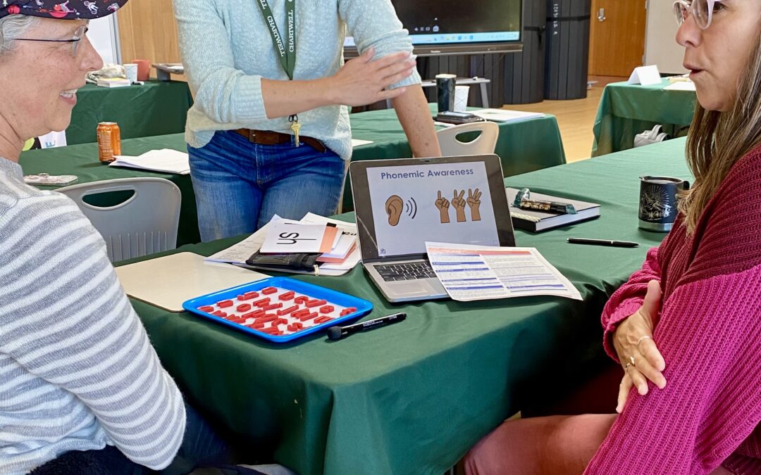 The 95% Difference: Why Coaching and Practicum are the Keys to Instructional Mastery